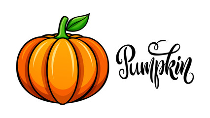 Ripe pumpkin isolated on white background. Autumn vegetable. Hand lettering word Pumpkin. Vector illustration.