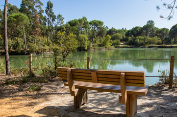 Parque dos Pinheiros Mansos, Cidade de Oliveira do Bairros, Aveiro, Portugal.