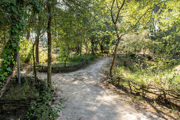 Parque dos Pinheiros Mansos, Cidade de Oliveira do Bairros, Aveiro, Portugal.