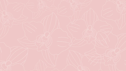 orchid flowers pink vector web background