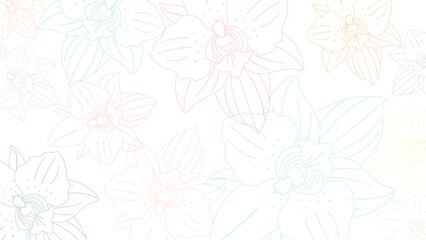 orchid flowers colorful vector web background