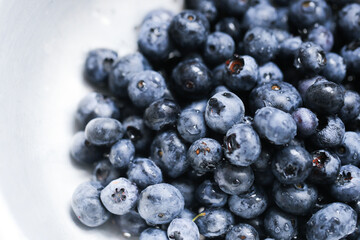 Blueberries background. Closeup berries texture. Dark blue fruits background. Macro closeup. Pile of fruits on white. Copy space on the side.