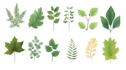 Minimalistic illustration collection of different green leaves and plants isolated on white background