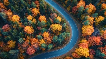 Aerial View of Scenic Winding Road Cutting Through Vibrant Autumn Forest Canopy