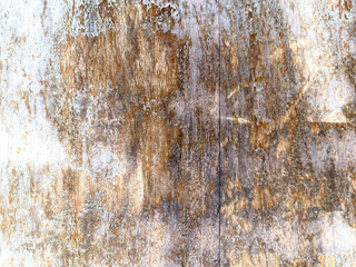 Transforming Spaces with the Allure of Captivating Wooden Textures