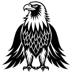 eagle vector illustration