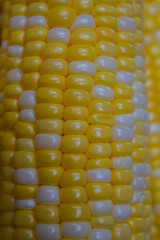 Quebec sweet corn is beautiful, delicious and sweet