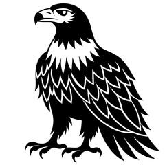 eagle vector illustration