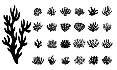 Set of coral silhouette vector illustration