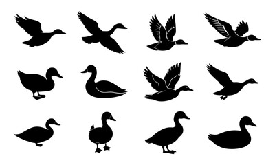 Set of duck silhouette vector illustration