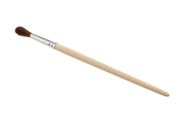 paint brush with coarse bristles, working tool, isolated	