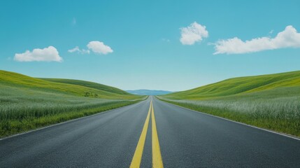 Fototapeta premium A long way down the road going to forest 