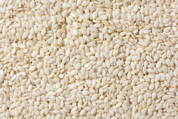 White sesame background, macro top view.