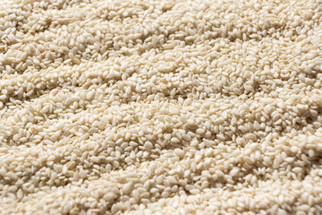 White sesame background, close-up, side view.