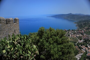 A city among greenery