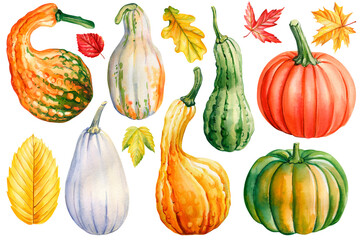 Decorative pumpkins and autumn leaves watercolor illustration isolated. Hand painted fall clipart. Decorative elements
