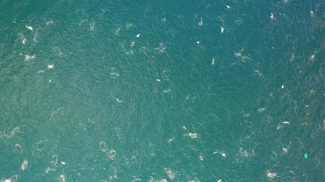 Aerial drone shot of tuna fishes in a band, jumping out from the blue sea water in Alor island, East Nusa Tenggara, Indonesia
