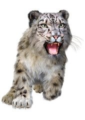 3D Rendering Snow Leopard on White
