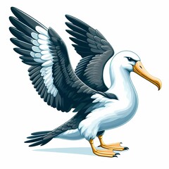 Beautiful albatross bird illustration isolated on white background