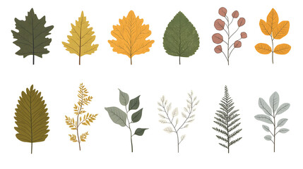 Minimalistic illustration collection of different green leaves and plants isolated on white background	