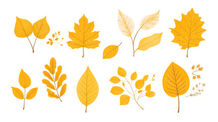 Obraz premium Minimalistic illustration collection of different yellow fall leaves and plants isolated on white background