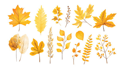 Minimalistic illustration collection of different yellow fall leaves and plants isolated on white background