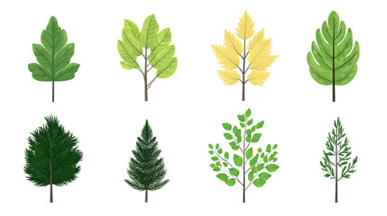 Minimalistic illustration collection of different green leaves and plants isolated on white background