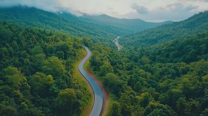 Serpentine Mountain Road Cutting Through Lush Forest Canopy - Aerial View Landscape