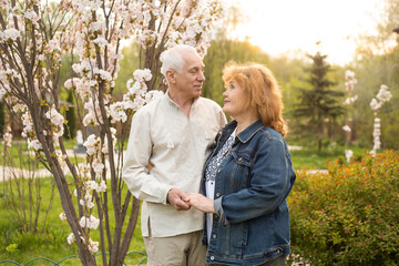 Happy old elderly caucasian couple smiling in park on sunny day, senior couple relax in spring summer time. Healthcare lifestyle elderly retirement love couple together valentines day concept