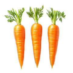 Trio of Fresh Baby Carrots Arranged on Plain White background transparent png 