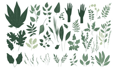 Set of vector cute illustrations of  leaves, plants, foliage set