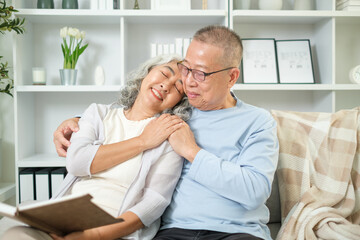 Fototapeta premium Elderly couple is seated together on a cozy couch in a warm and inviting living room.
