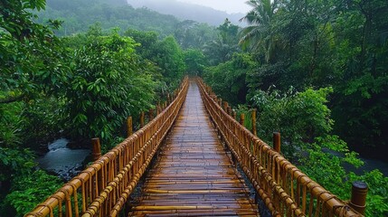 Eco-Friendly Innovation: Stunning Modern Sustainable Bamboo Bridge in Nature
