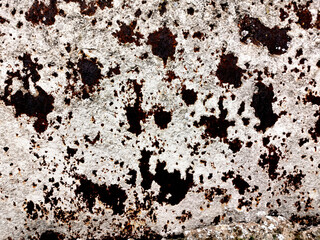 Un mur de pierre présente une texture rugueuse, ornée de taches sombres sur un fond clair,...