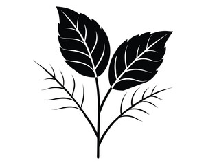 Leaves Vector Stock Illustration. Leaf Shapes Collection.