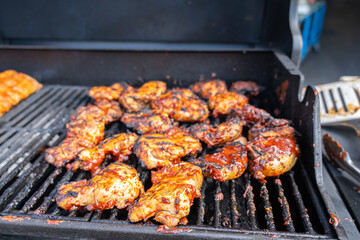 Beef and chicken grilled for summer barbecue