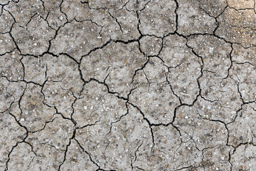 cracked earth dry ground backdrop. gray clay texture background.