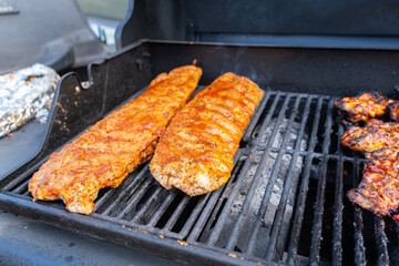 Beef and chicken grilled for summer barbecue