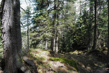 Obraz premium Natural landscape of Santa Maddalena view at Val di Funes, land of the pale mountains and beautiful valley in the Dolomites also one of UNESCO World Heritage site- South Tyrol, Italy