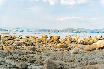 The sea ebb at sunset.
The coastline is the seabed. Seascape of Nha Trang suburb in Vietnam. 