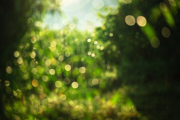 Obraz premium The image is a blurry green forest with a lot of light shining through the trees