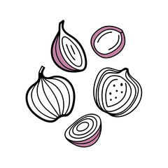 Set of doodle outline onion with spots Whole and pieces (1)