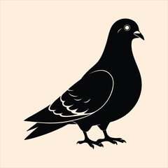 Pigeon silhouette vector illustration 