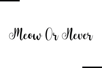Meow Or Never Beautiful Typography Text Quote 