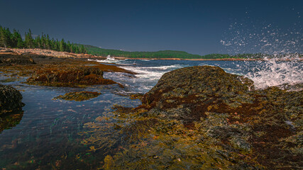 rocky beach tidal pool