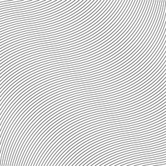 black and white stripes