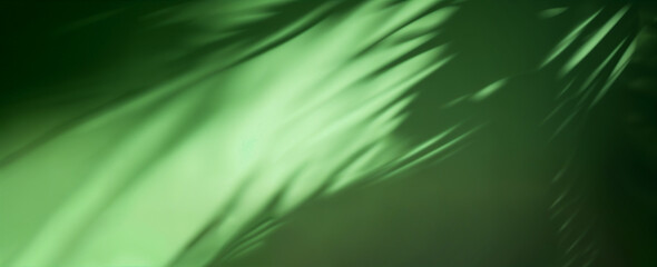 Obraz premium Abstract Green Background with Flowing Light and Shadows: Nature, Serenity, Zen Concept. Nature & Tranquility. 