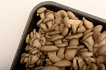 Pleurotus ostreatus. Edible mushrooms in a package.