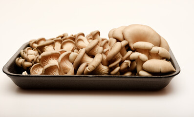 Pleurotus ostreatus. Edible mushrooms in a package.