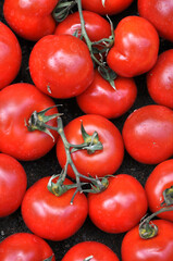 Verdure esposte . Carciofi, limoni, melanzane, aglio, cipolle, pomodori, funghi, arance, cachi, carote, mele, broccoli, patate